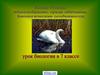 Класс Птицы. Многообразие, среда обитания. Биологические ососбенности