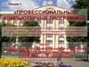 Профессиональные компьютерные программы