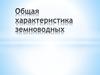 Общая характеристика земноводных