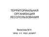 Территориальная организация лесопользования