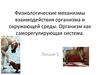 Физиологические механизмы взаимодействия организма и окружающей среды. Организм, как саморегулирующая система