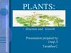 Structure and growth of plants