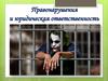 Юридическая ответственность. Понятие правонарушения