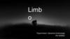 Limbo. Мультиплатформенная компьютерная игра