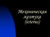 Механическая желтуха