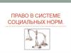 Право в системе социальных норм