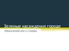 Зеленые насаждения в городе