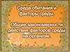 Среда обитания и факторы среды