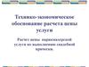 Технико-экономическое обоснование расчета цены услуги. Расчет цены парикмахерской услуги по выполнению свадебной прически
