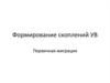 Формирование скоплений УВ. Первичная миграция