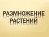 Размножение растений