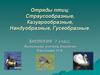 Отряды птиц: Страусообразные, Казуарообразные, Нандуобразные, Гусеобразные