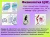 Двигательные рефлексы спинного мозга. Локомоция: центры конечностей, тонические и фазические управляющие влияния