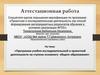 Аттестационная работа. Программа учебно-исследовательской и проектной деятельности на ступени основного общего образования