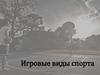 Игровые виды спорта