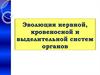 Эволюция нервной, кровеносной и выделительной систем органов