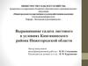 Выращивание салата листового в условиях Княгининского района Нижегородской области