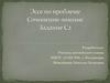 Эссе по проблеме. Сочинение-мнение. Задание С2