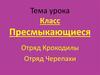 Класс Пресмыкающиеся. Отряд Крокодилы. Отряд Черепахи