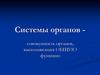 Системы органов
