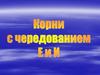 Корни с чередованием Е - И