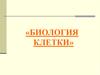 Биология клетки. Уровни организации жизни на Земле