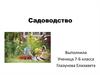Садоводство. Плодоводство