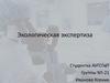 Экологическая экспертиза