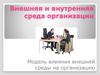 Внешняя и внутренняя среда организации. Модель влияния внешней среды на организацию
