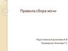 Правила сбора мочи