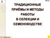 Традиционные приёмы и методы работы в селекции и семеноводстве