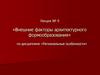Внешние факторы архитектурного формообразования