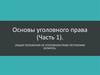 Общие положения об уголовном праве Республики Беларусь. (Лекция 7)
