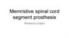 Memristive spinal cord segment prosthesis