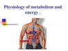 Physiology of metabolism and energy