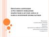Программа коррекции агрессивного поведения подростков в детских домах в рамках вторичной профилактики