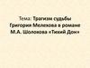 Трагизм судьбы Григория Мелехова в романе М.А. Шолохова «Тихий Дон»
