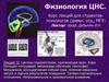 Центры подкрепления, прилежащее ядро. Кора больших полушарий: механизмы обучения; гиппокамп