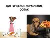 Диетическое кормление собак