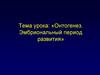 Онтогенез. Эмбриональный период развития