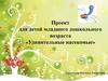 Проект для детей младшего дошкольного возраста «Удивительные насекомые»