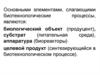 Основные элементы биотехнологических процессов