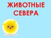 Животные Севера