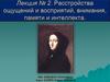 Расстройства ощущений и восприятий, внимания, памяти и интеллекта