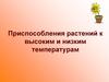 Приспособления растений к высоким и низким температурам
