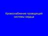 Кровоснабжение проводящей системы сердца