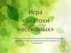 Игра «Знатоки насекомых»