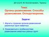Органы размножения. Способы размножения. Оплодотворение