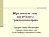 Юридические лица как субъекты гражданского права