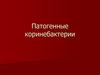 Патогенные коринебактерии